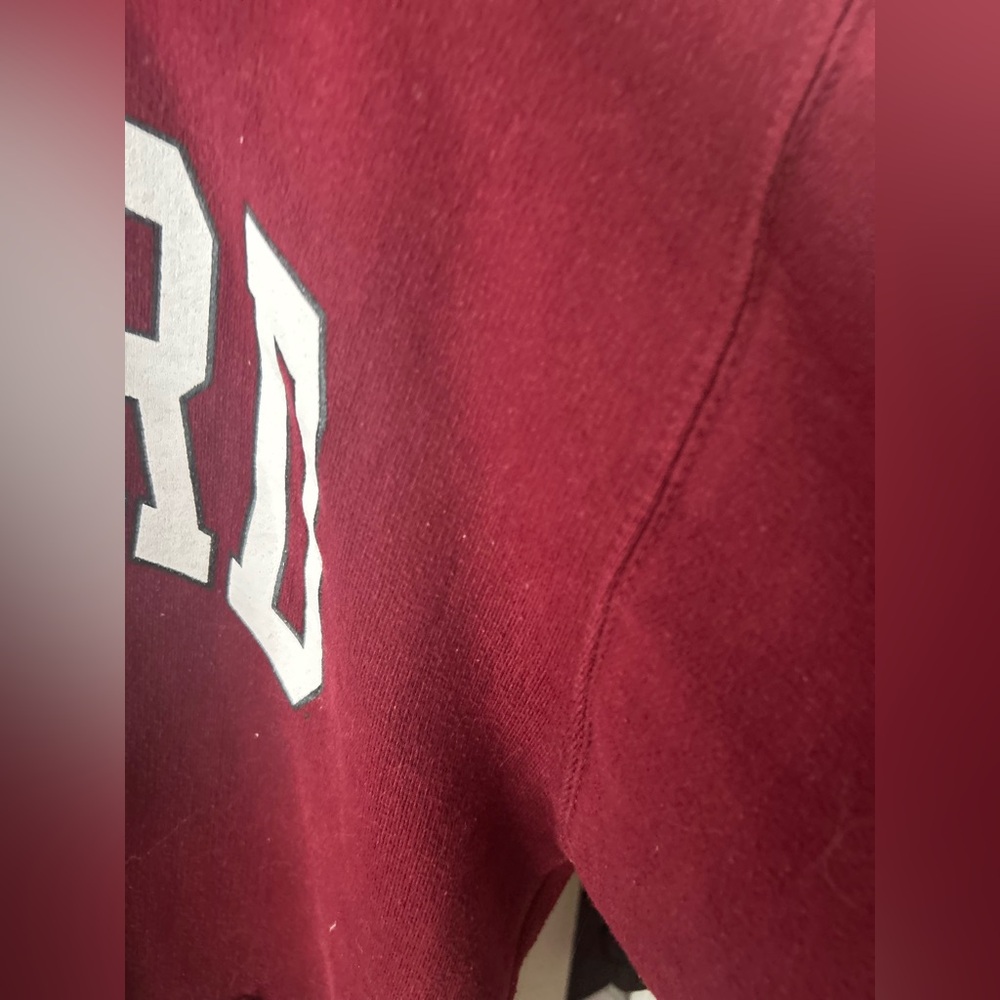 Thick and oversized Harvard printed hoodie - Picture 5 of 12